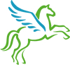 pegasus-web20